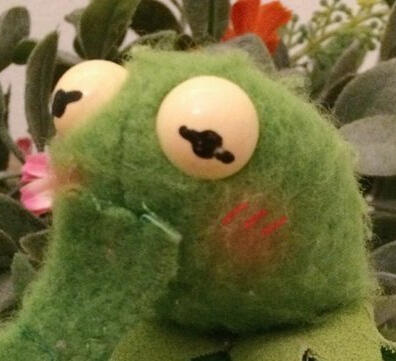 A photo of Kermit from The Muppets. He is a green frog puppet, he is holding a hand over his mouth and blushing